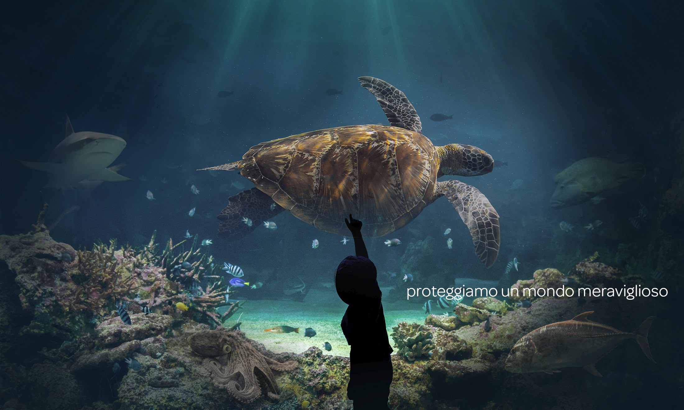 Acquario di Livorno 2023_2024