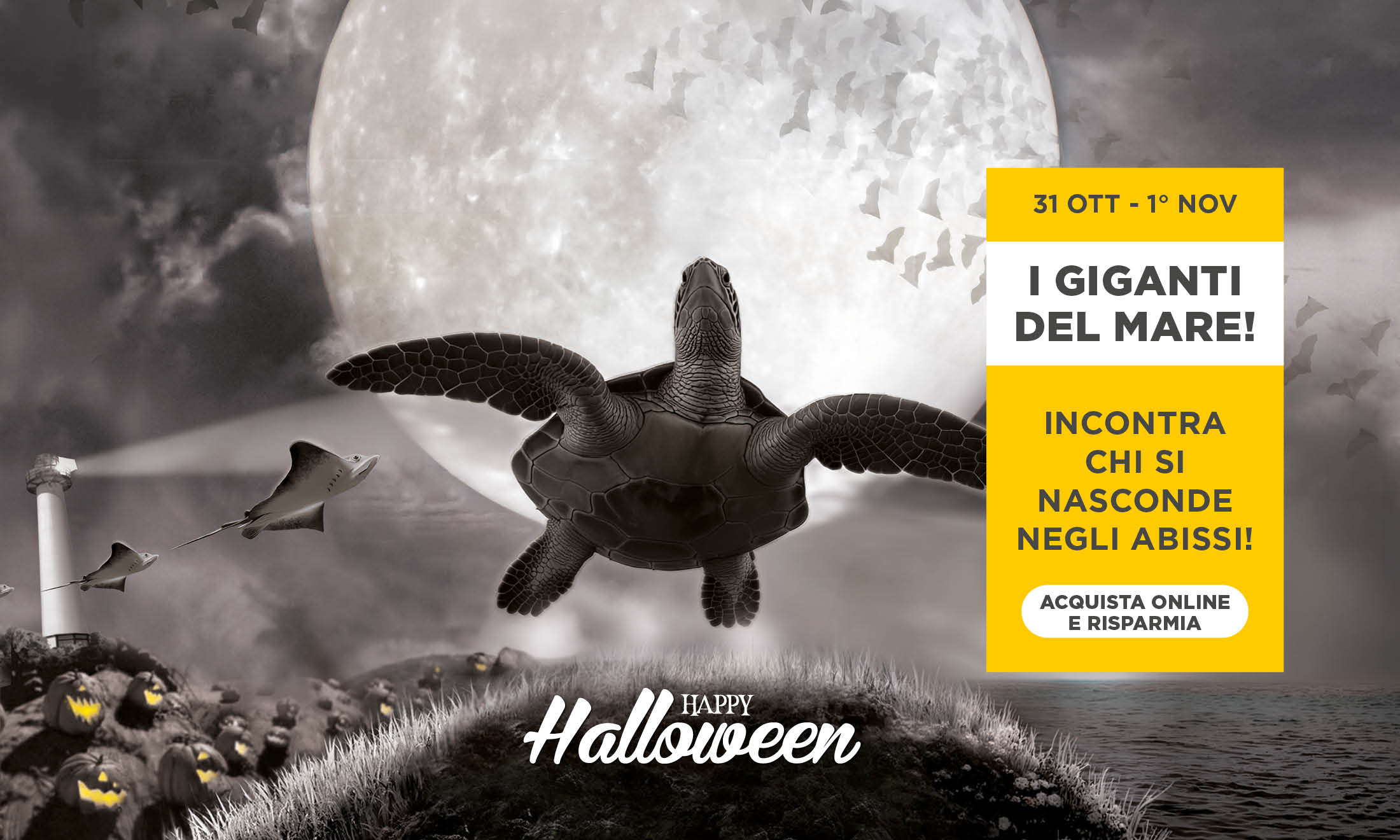 Special Halloween