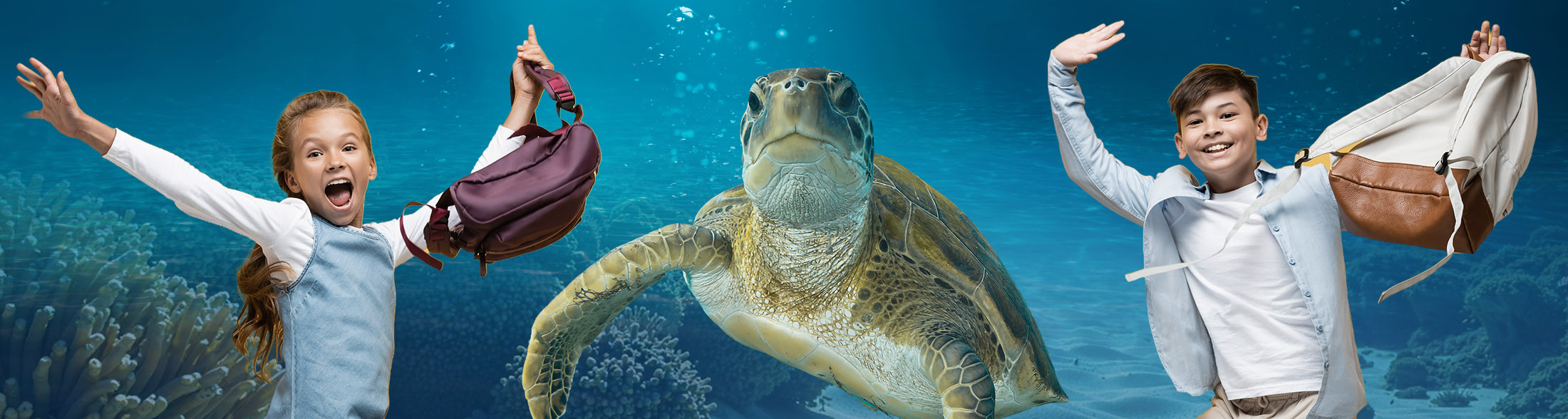 Si torna a scuola: l'Acquario di Livorno propone un ampio ventaglio di offerte didattiche per tutti i cicli scolari 