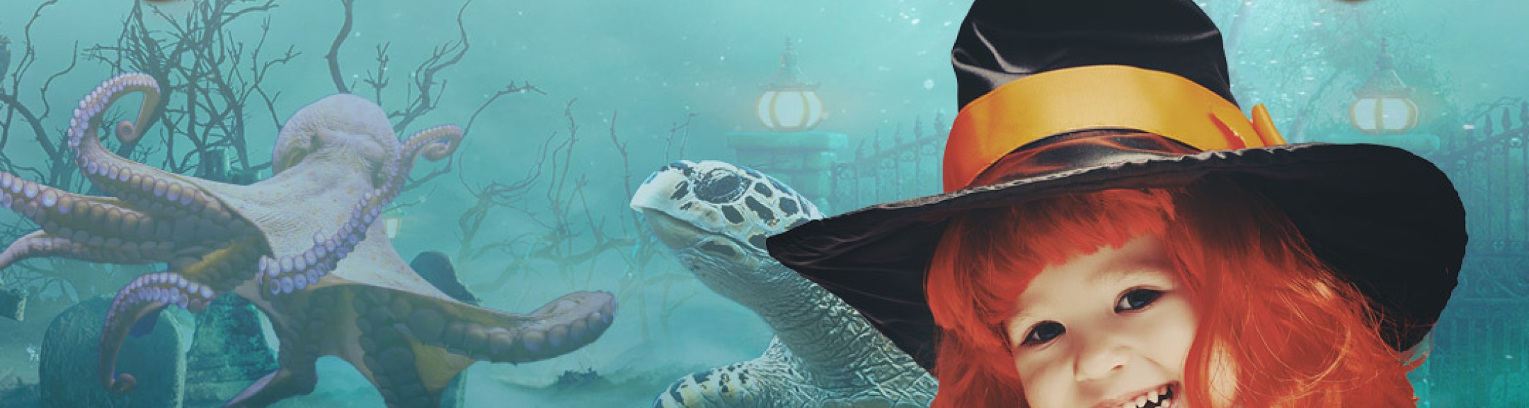 Halloween 2023: un acquario da brividi! 