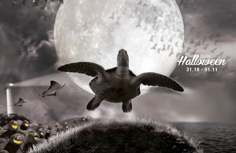 Halloween 2026