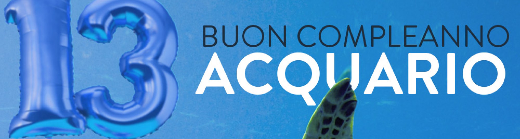 L'Acquario di Livorno festeggia il 13° compleanno con un ricco programma di iniziative dal 29 luglio al 4 agosto