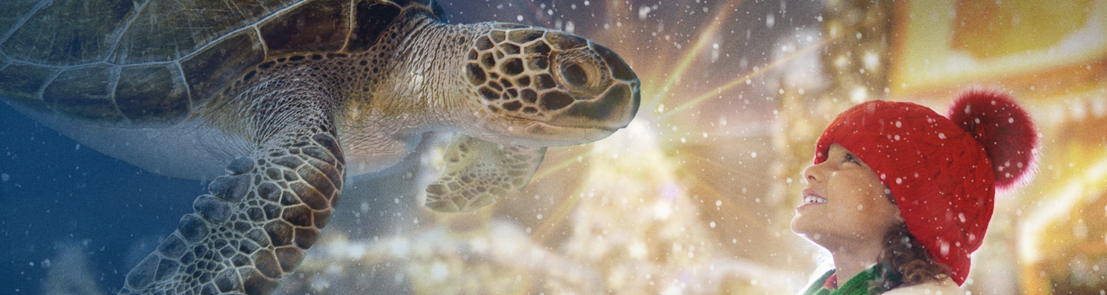 La Magia del Natale all'Acquario di Livorno